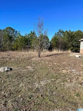 Residential Lot in Calera, AL