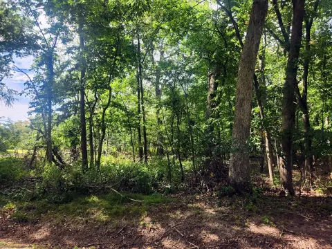 Recreational Land in Lake Wildwood