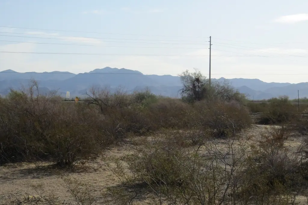 Picture 14