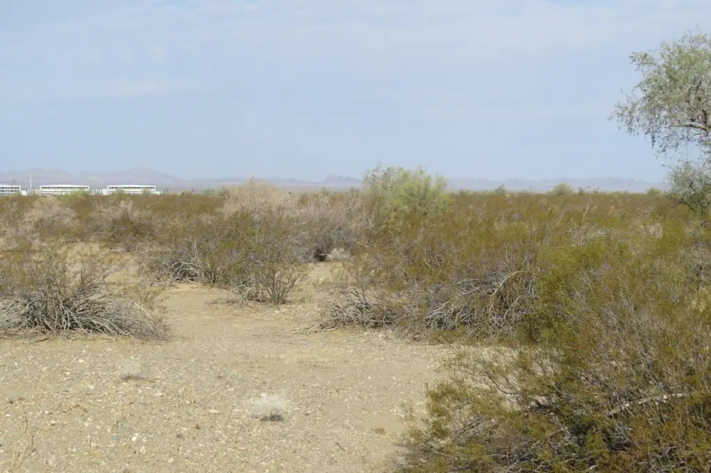 Picture 7