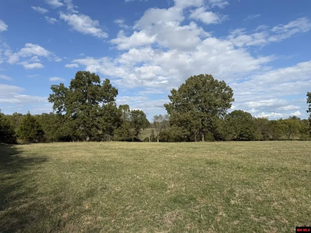 Picture 25