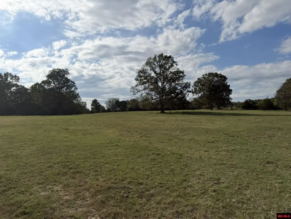Picture 26