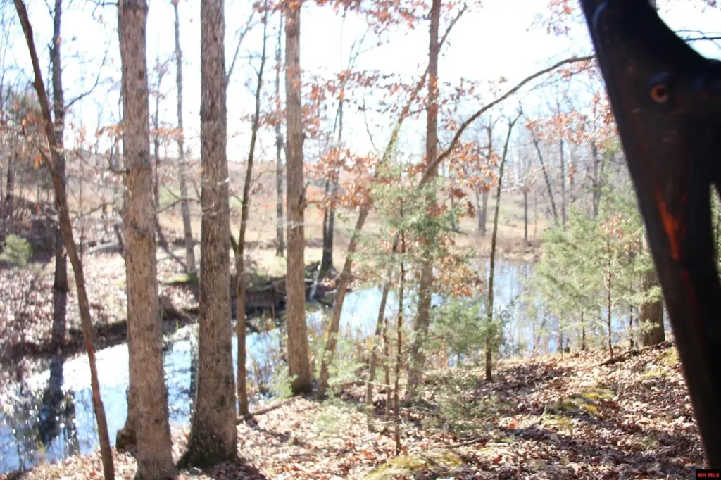 Picture 31