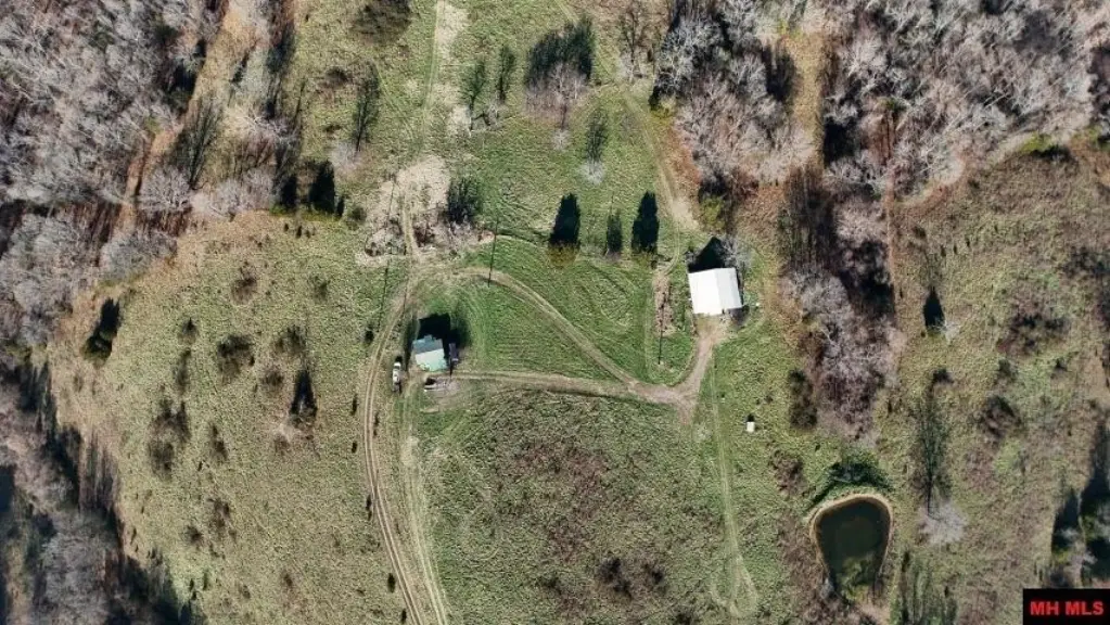 Picture 2
