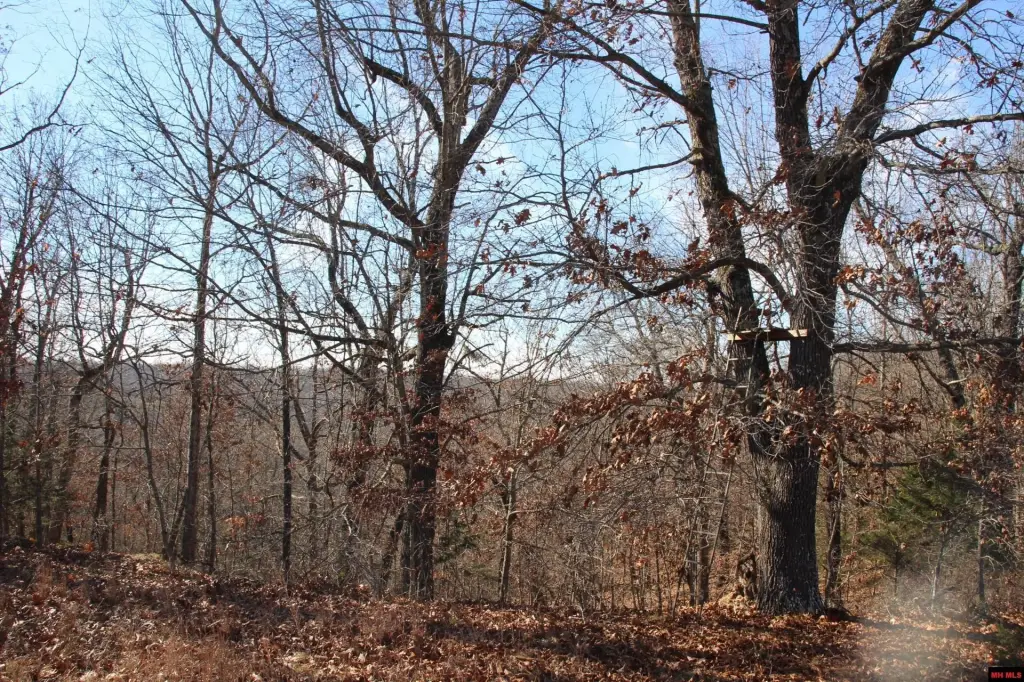 Picture 39