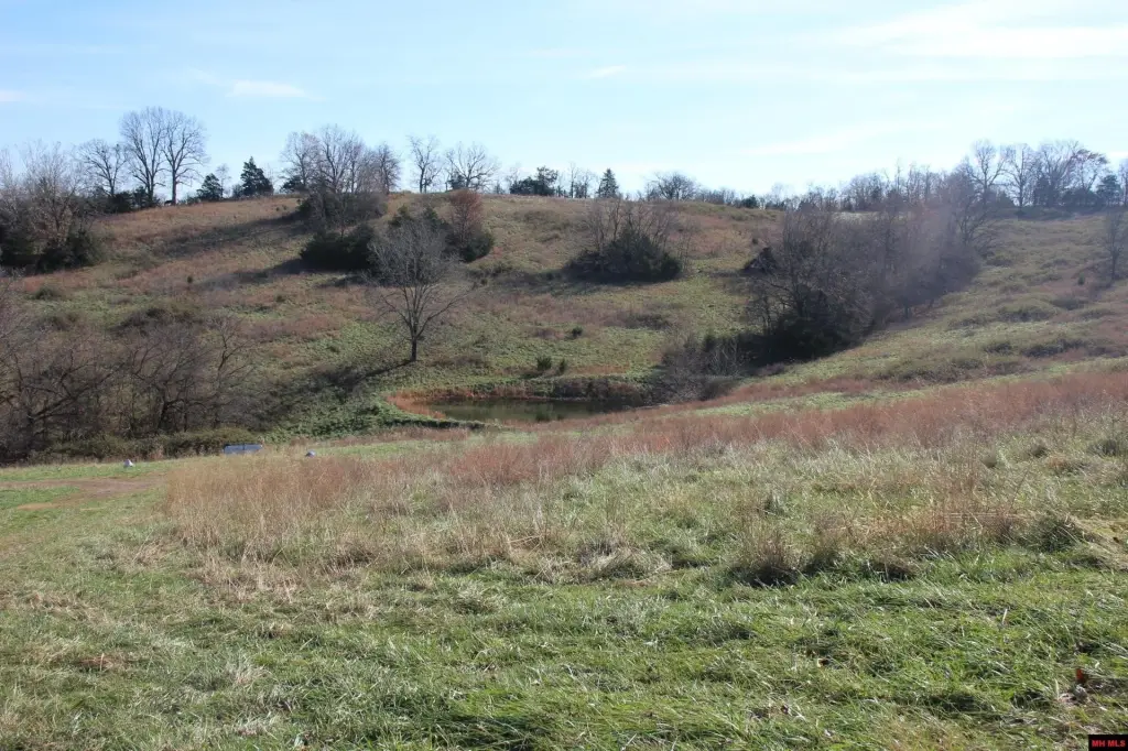 Picture 10