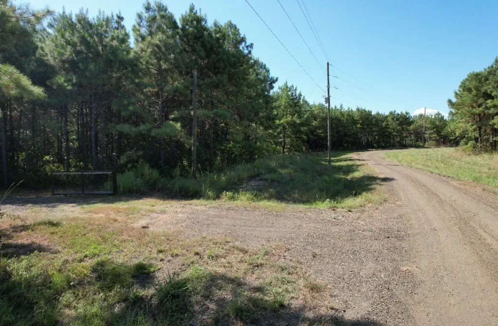 Picture 9