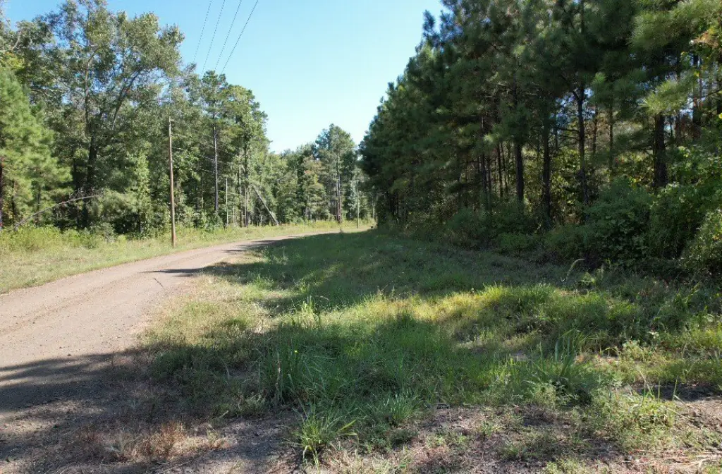 Picture 8