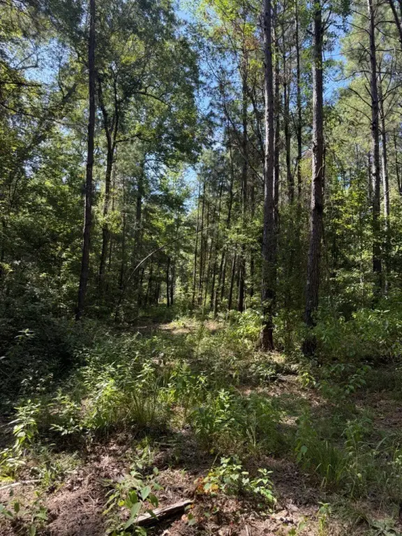 Picture 25