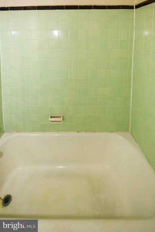 Picture 28