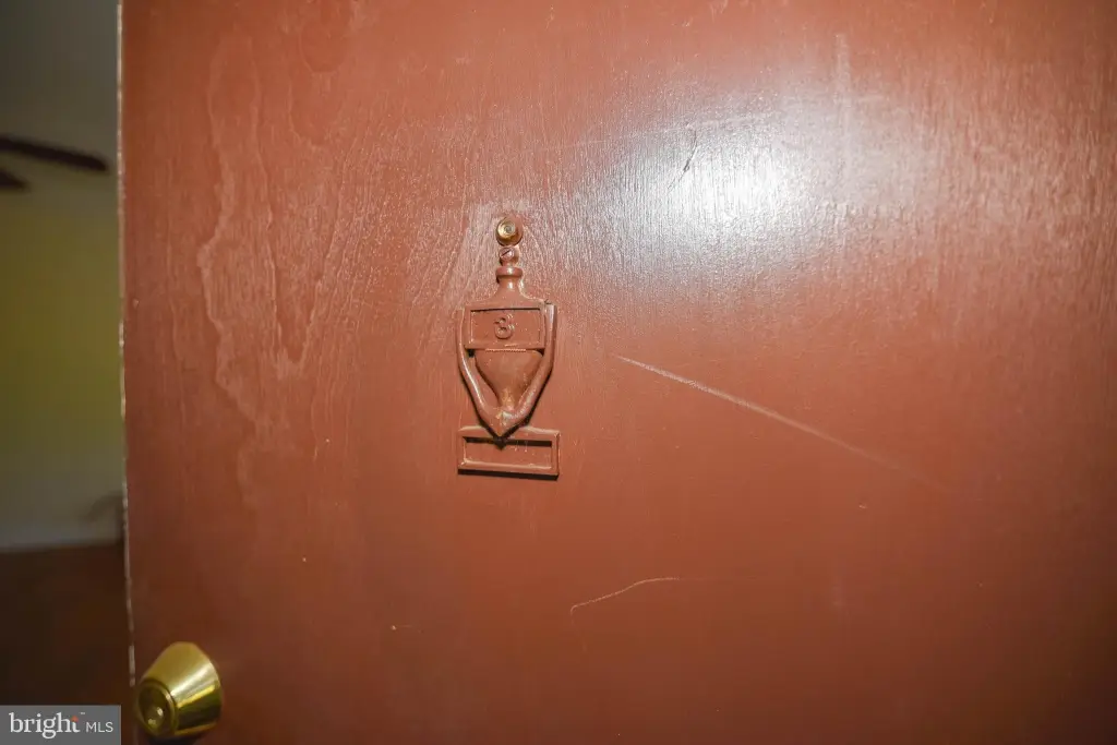 Picture 43