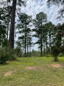 Vacant Land in Jena, LA