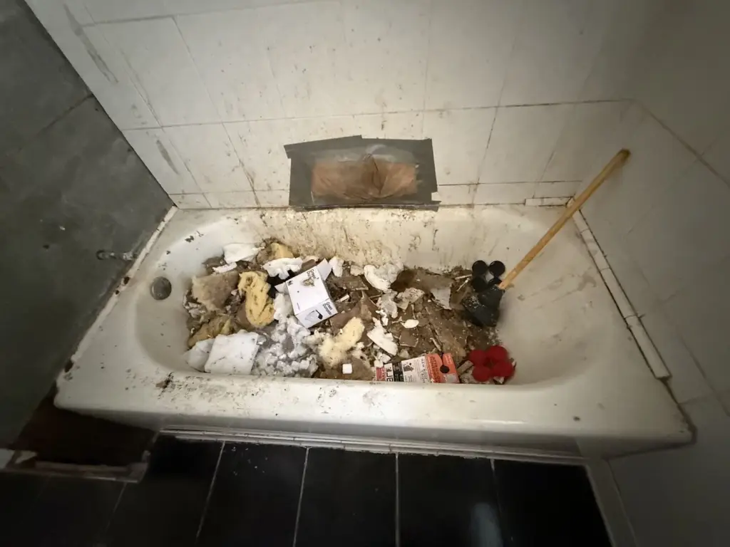 Picture 22