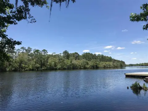 Buildable Lot Near Ochlockonee River