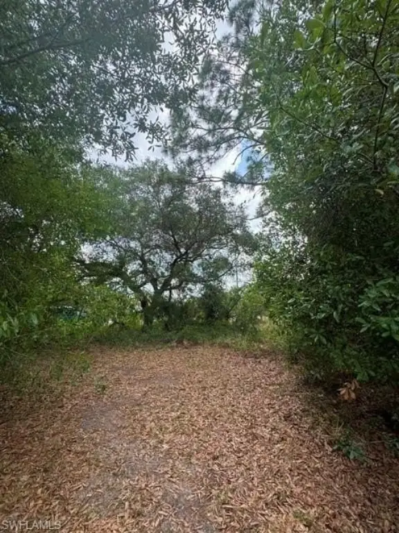 Picture 10