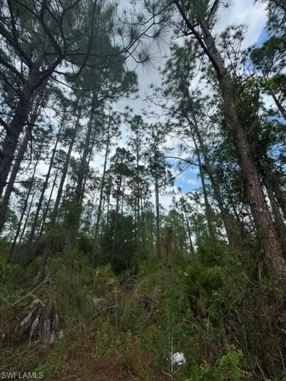 Picture 12