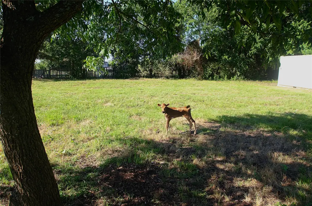 Picture 22