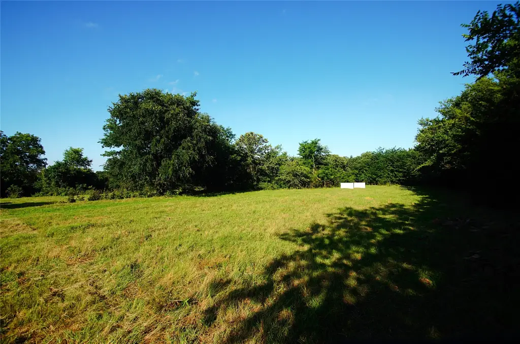 Picture 16
