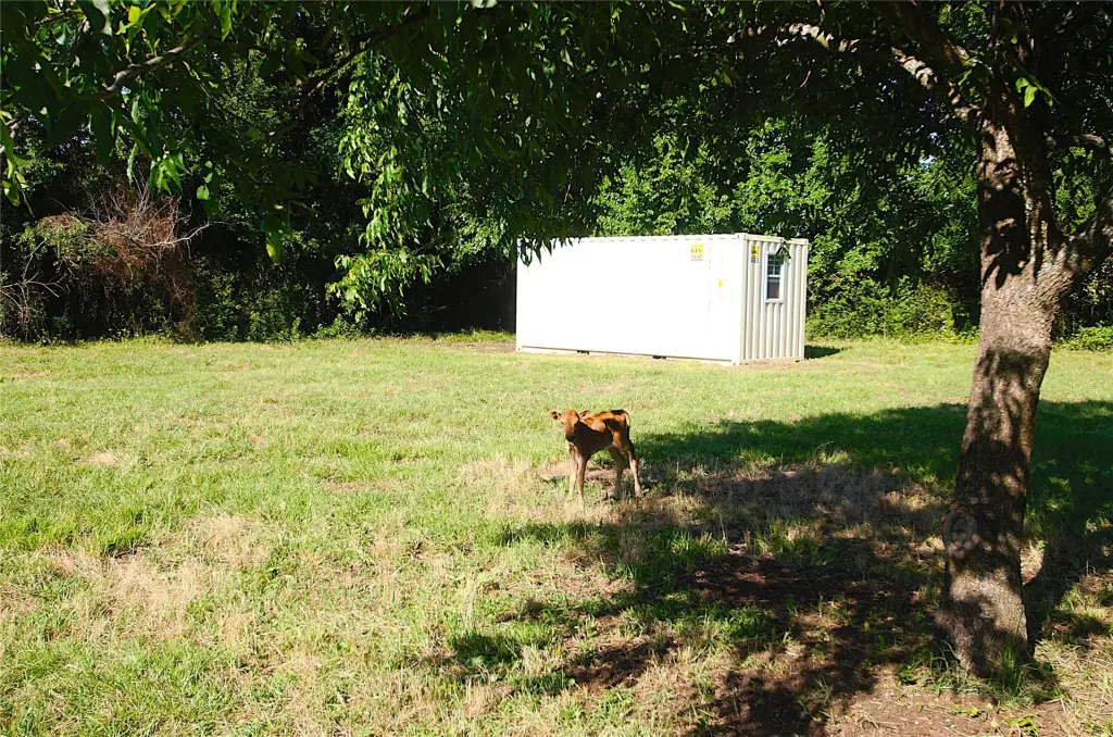Picture 21