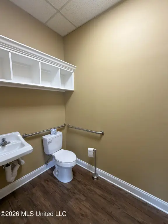 Picture 11