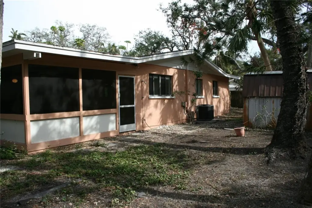 Picture 3