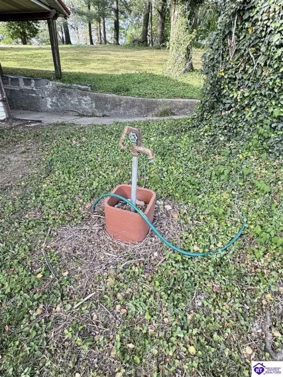 Picture 23