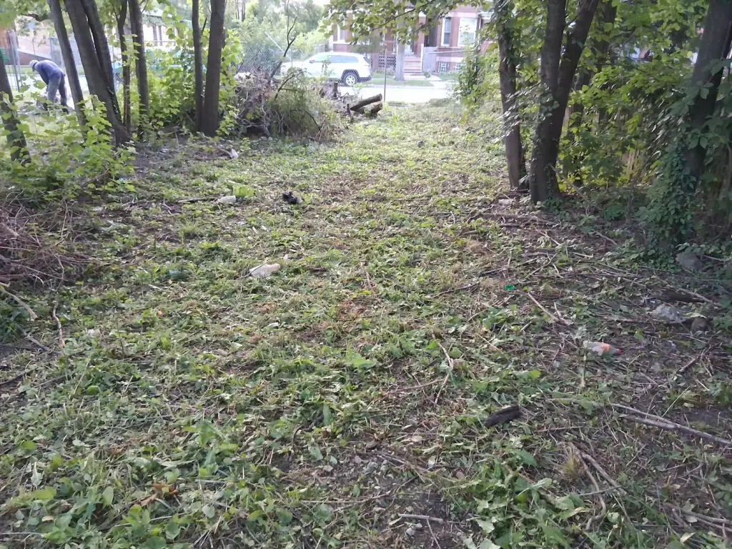 Picture 4
