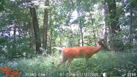 Recreational Land in Thomson, Illinois