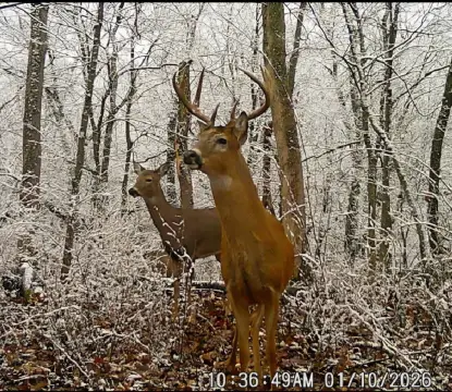 34 Acres Recreational Land in Thomson