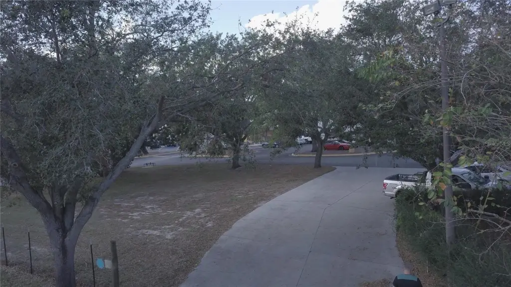 Picture 25