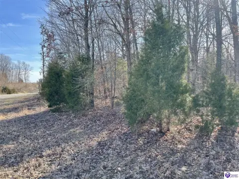 Falls Of Rough Wooded Acreage