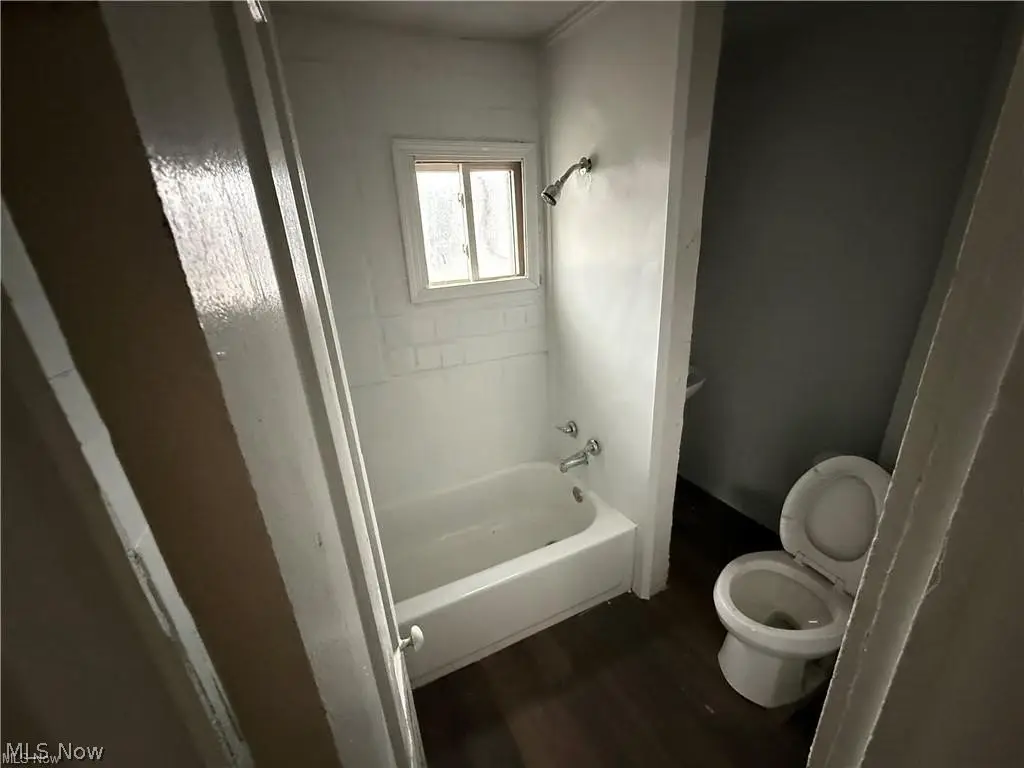 Picture 24