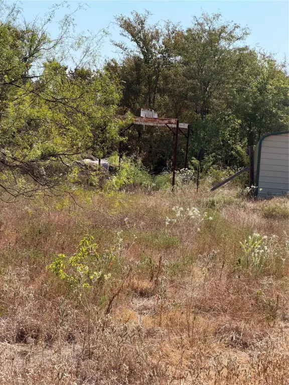 Picture 15