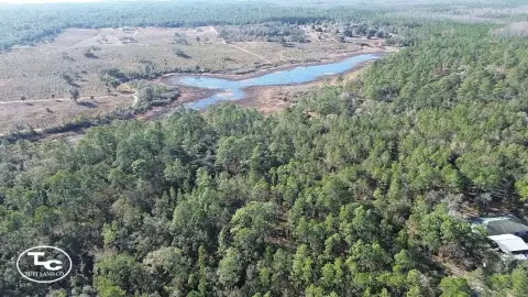 Morriston, FL Vacant Land