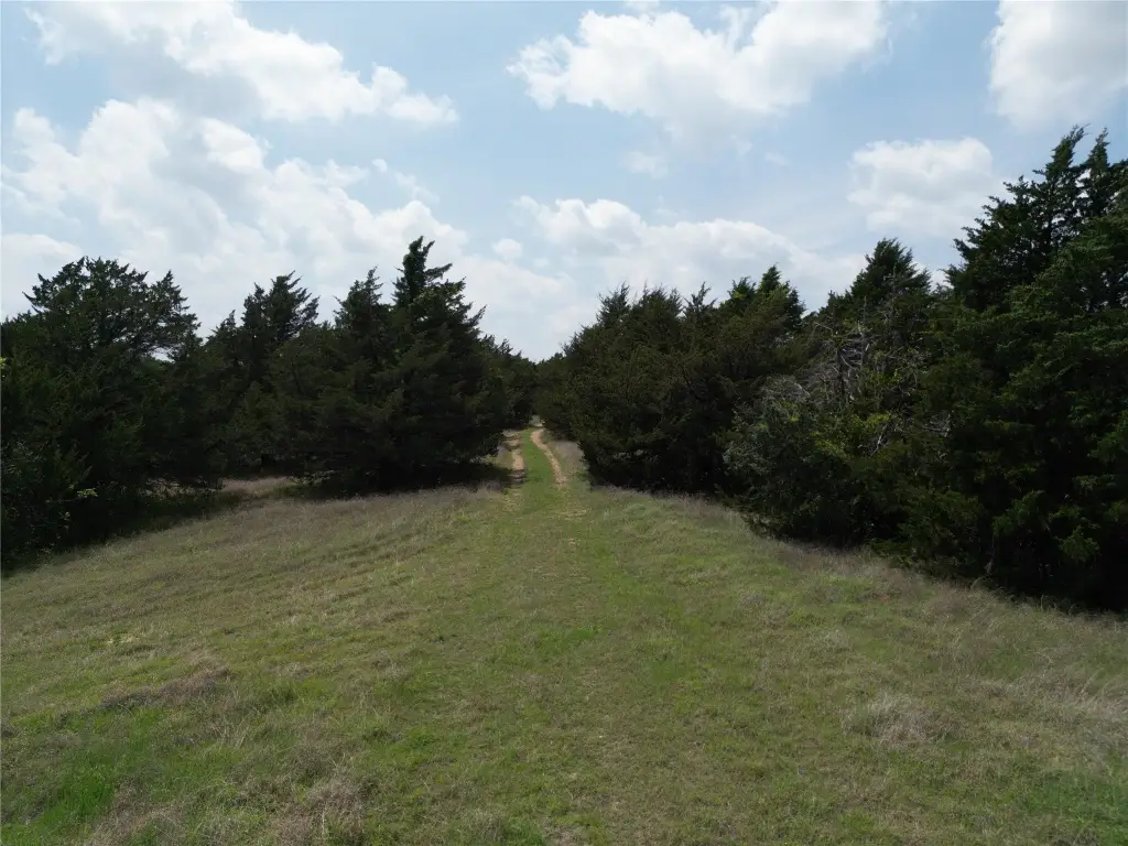 Picture 7
