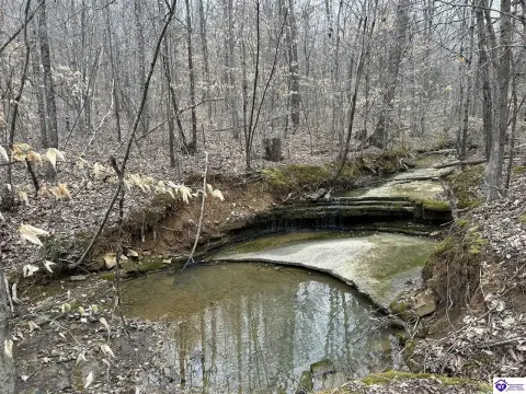 Leitchfield Land with Natural Beauty
