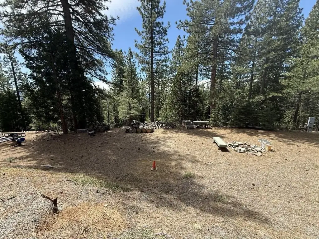 Picture 45