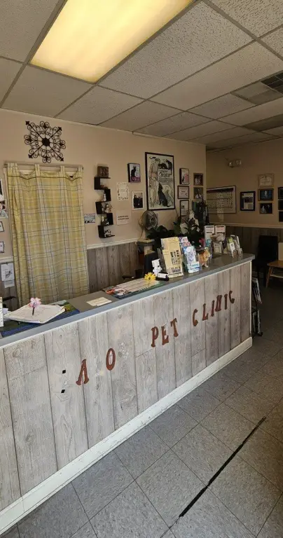 Picture 6