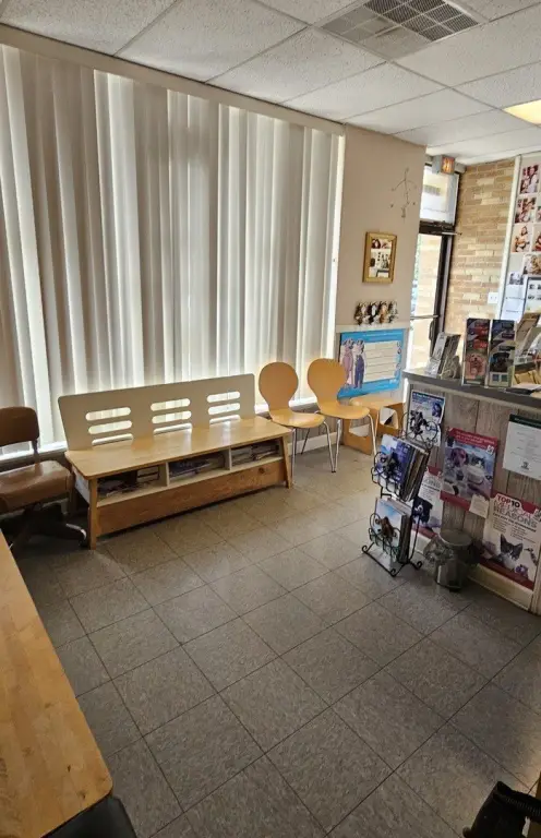 Picture 5
