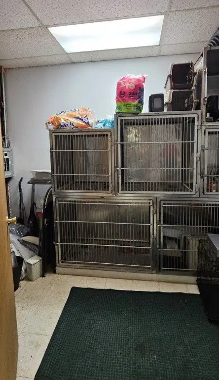 Picture 14