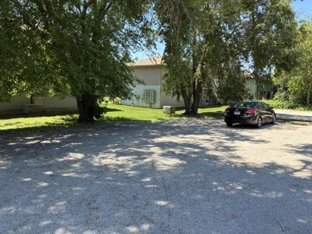 Picture 5