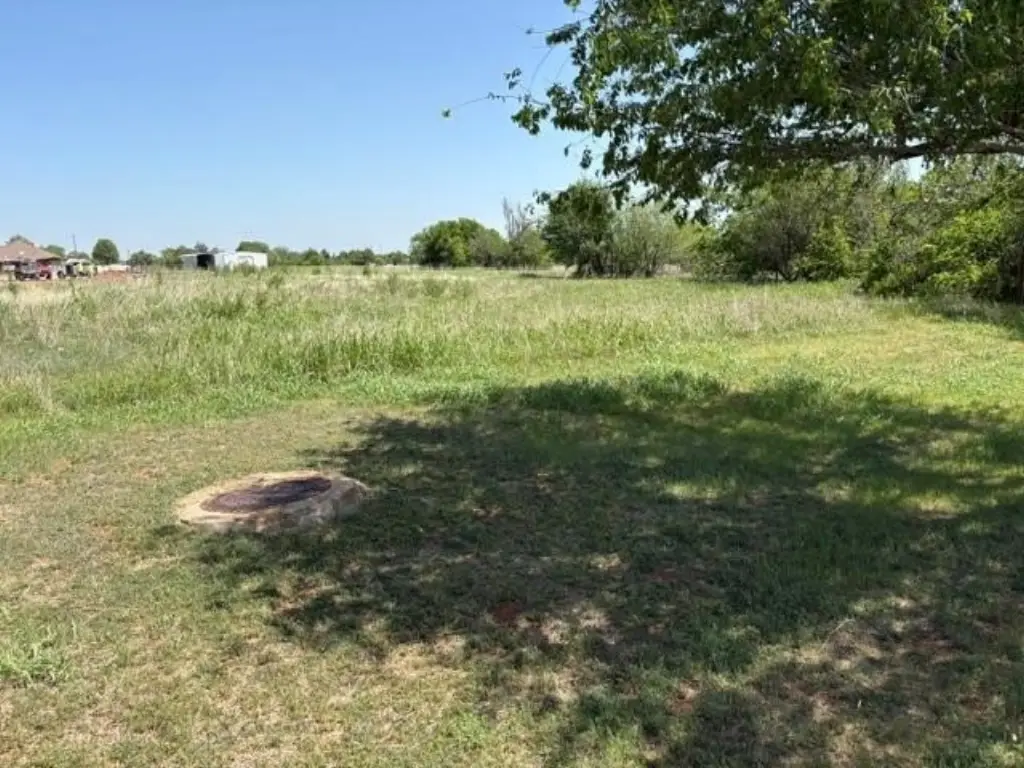 Picture 6