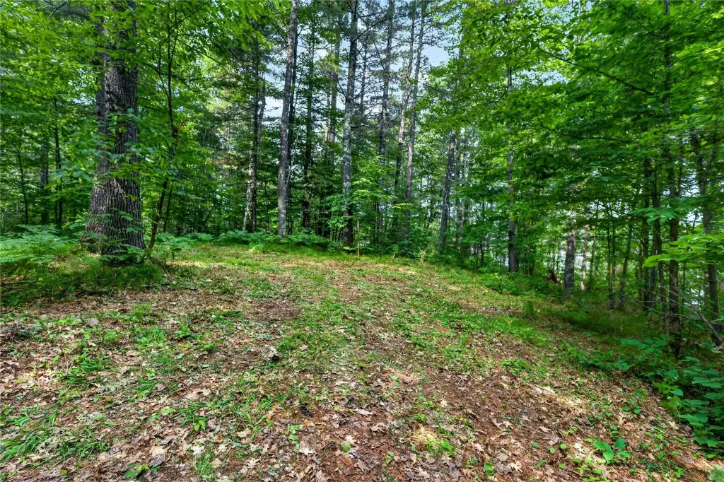 Picture 18