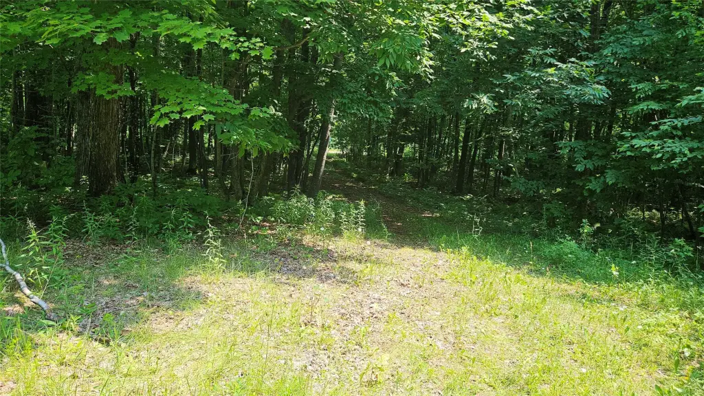 Picture 12