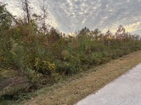 Vacant Land Ready to Build