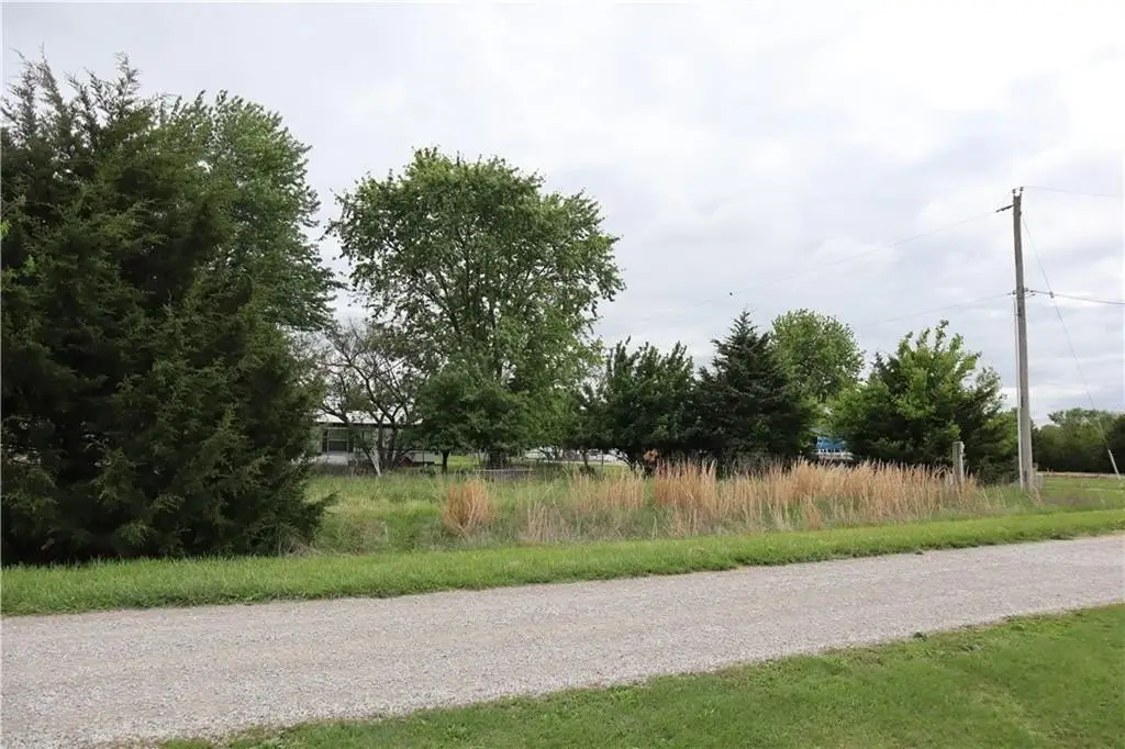 Picture 6