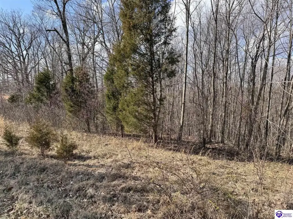 Picture 4