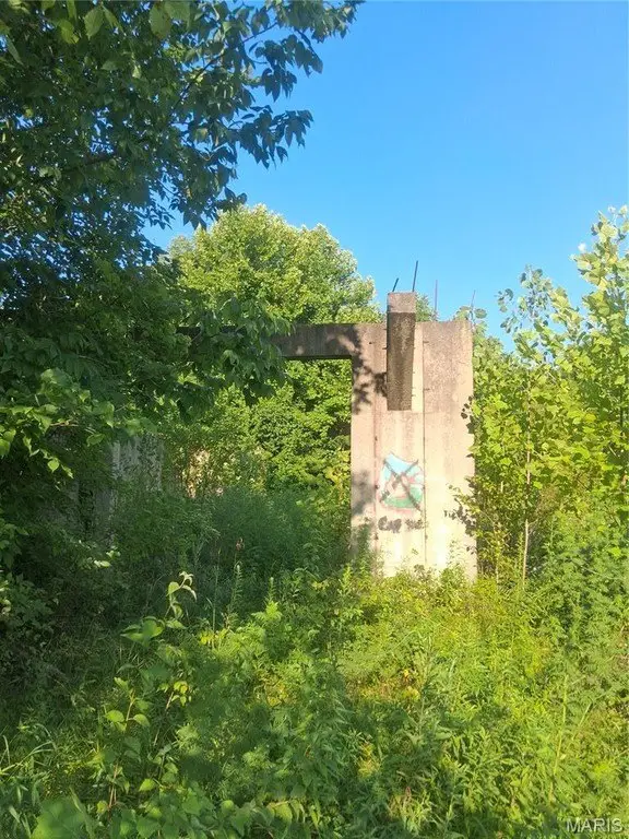 Picture 4