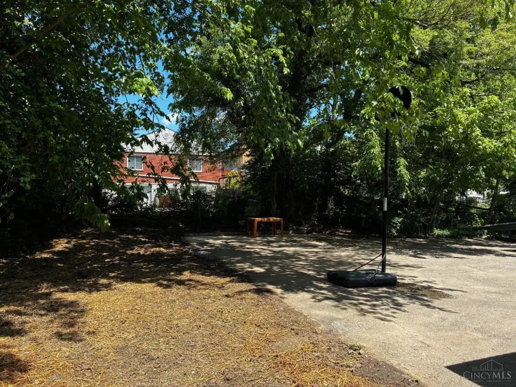 Picture 3
