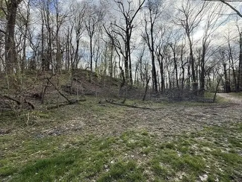 Henderson Land with Aspen Lake View